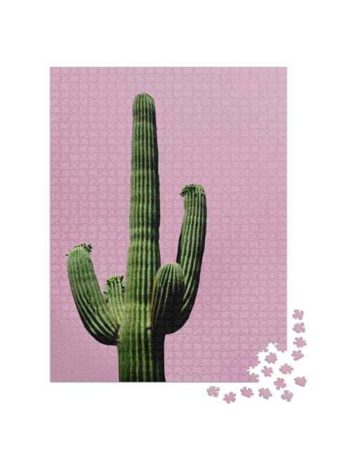 Puzzle 1000 Teile „Minimalistische Ansicht: Kaktus auf rosa Hintergrund“