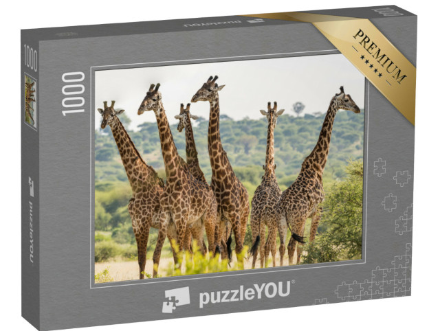 Puzzle 1000 Teile „Giraffenherde im Tarangire-Nationalpark, Tansania“