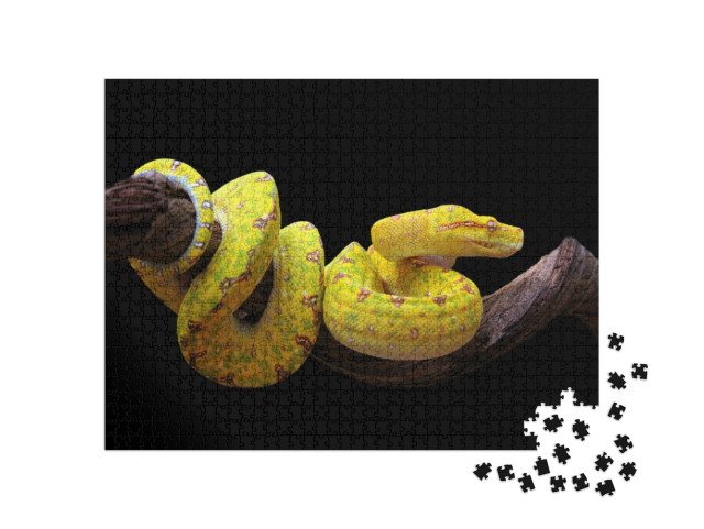 Puzzle 1000 Teile „Gelbe Baumpython, verschlungen auf einem Ast“