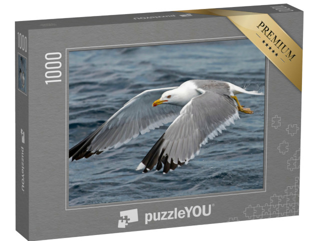 Puzzle 1000 Teile „Detailstudie: Möwe im Flug“
