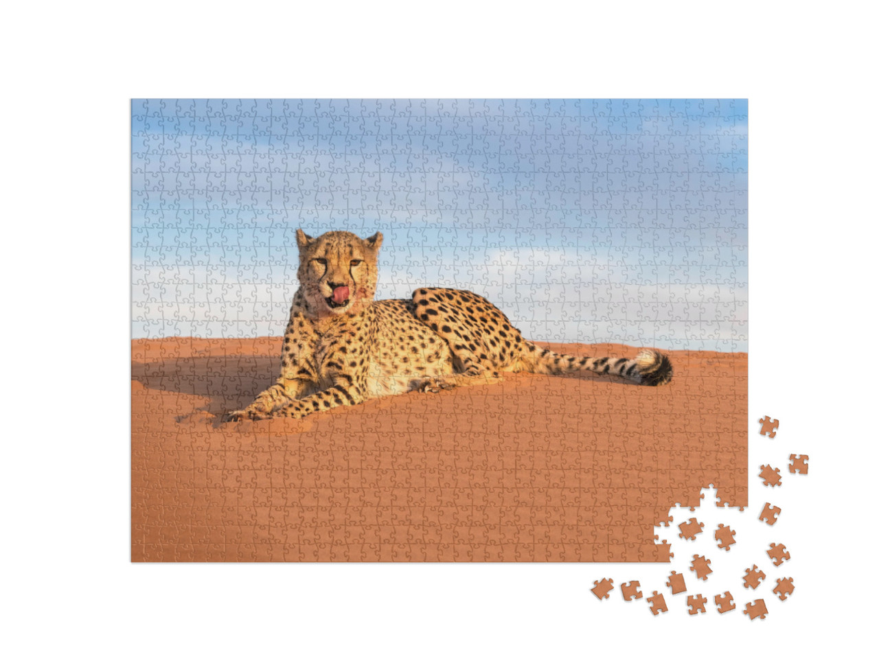 Puzzle 1000 Teile „Gepard im Kanaan N/a'an ku se Desert Retreat Camp“