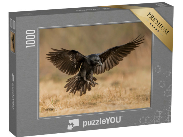 Puzzle 1000 Teile „Kolkrabe im Landeanflug“