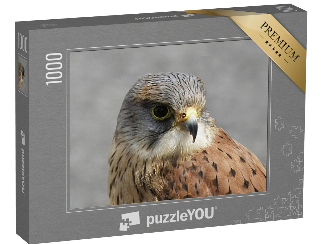 Puzzle 1000 Teile „Turmfalke am Wildgehege Co Antrim, Nordirland“