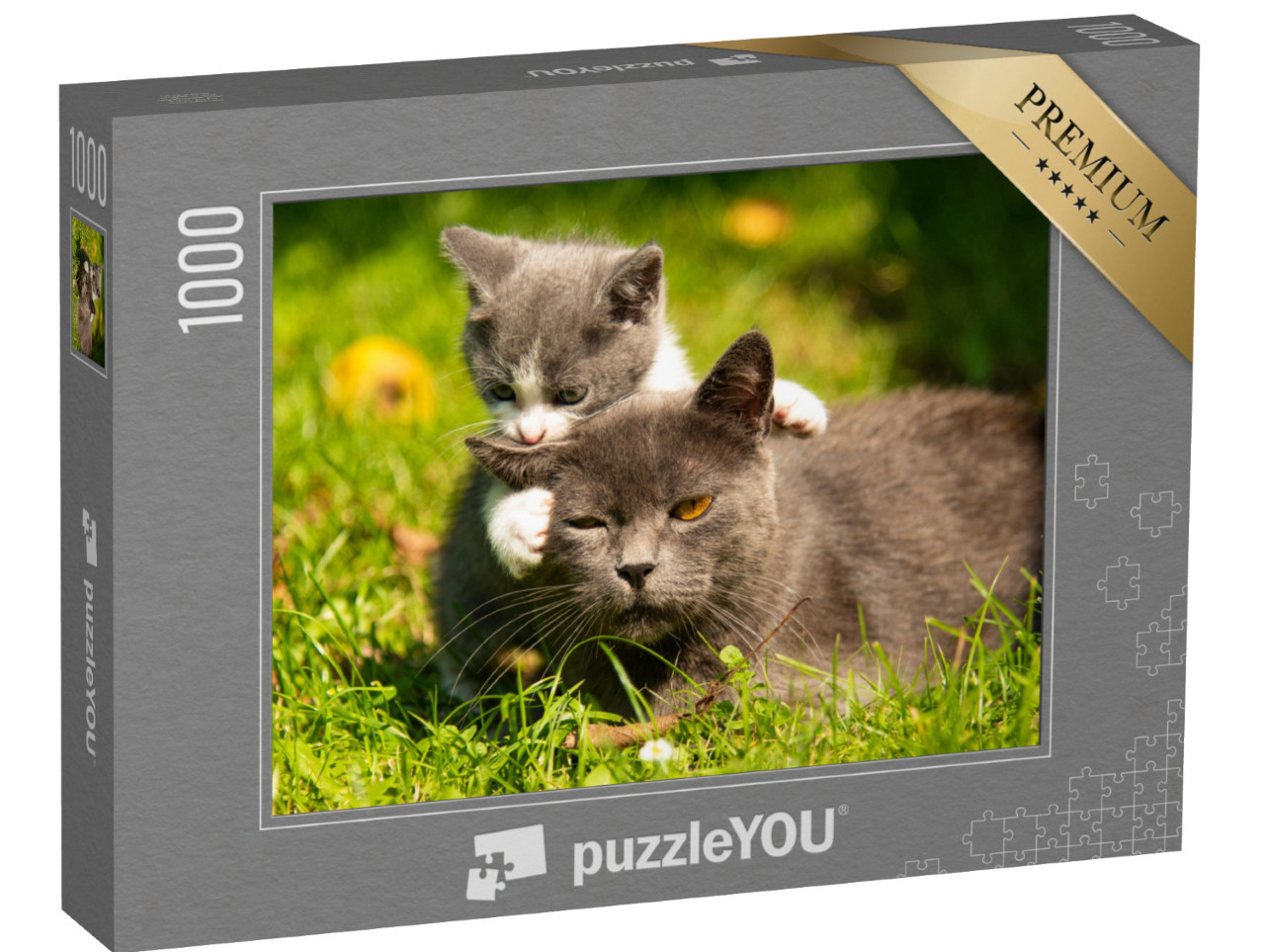 Puzzle 1000 Teile „Katzenmutter mit ihrem kleinen Kätzchen im Gras“