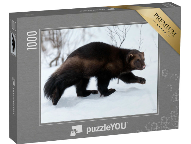 Puzzle 1000 Teile „Vielfraß im Schnee, unscharfer Hintergrund“