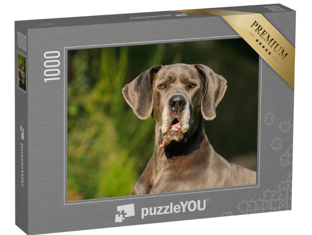 Puzzle 1000 Teile „Deutsche Dogge Blau: 12 Jahre alt“
