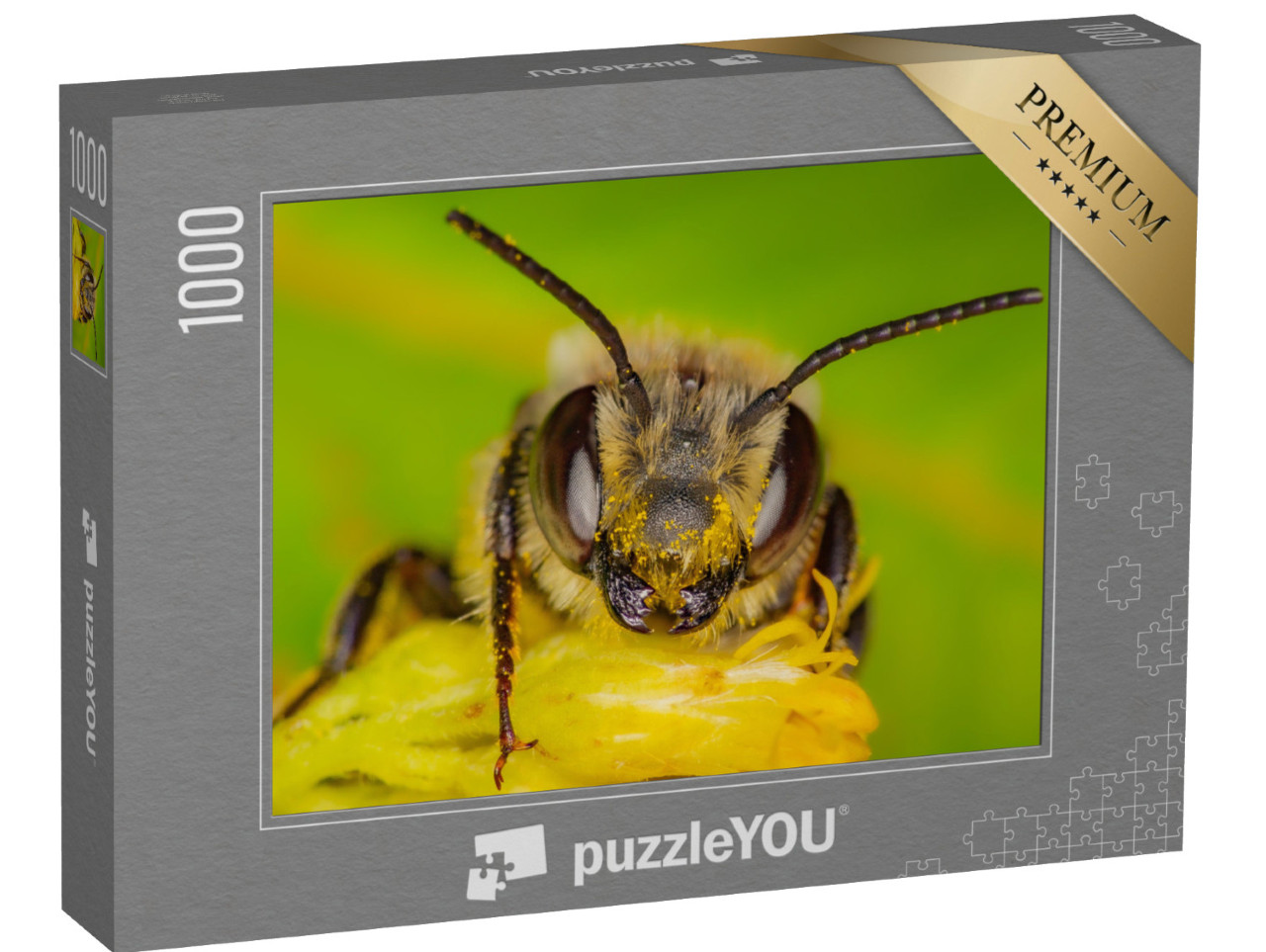 Puzzle 1000 Teile „Eine Wildbiene sammelt Pollen, Quebec, Kanada“