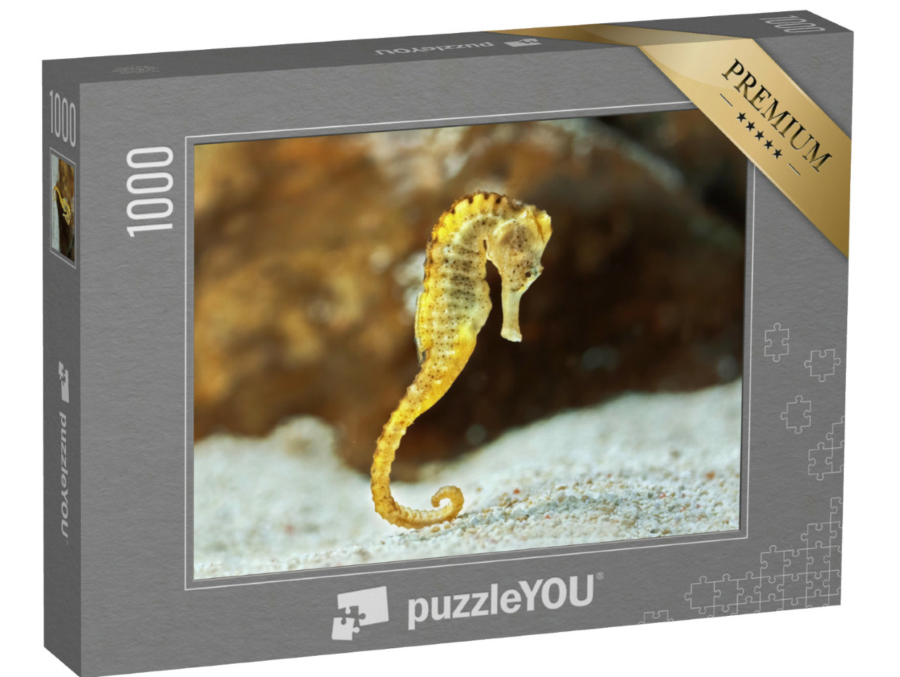 Puzzle 1000 Teile „Exemplar des langrüsseligen Hippocampus, auch bekannt als Seepferdchen“