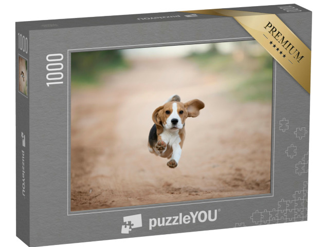 Puzzle 1000 Teile „Beagle-Welpe läuft glücklich im Hinterhof“