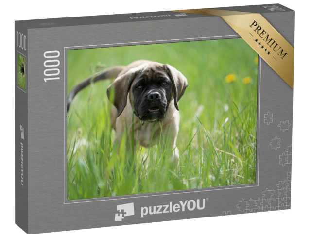 Puzzle 1000 Teile „English Mastiff Welpe spielt, Löwenzahn im Hintergrund“