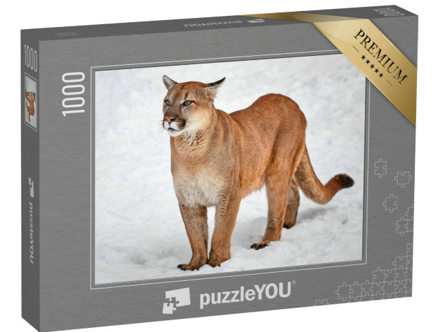 Puzzle 1000 Teile „Puma: Wildkatze im Schnee“