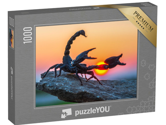 Puzzle 1000 Teile „Der Kaiserskorpion“