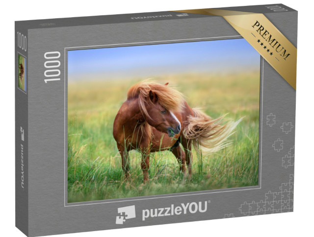 Puzzle 1000 Teile „Pony auf der Weide im Frühlingswind“