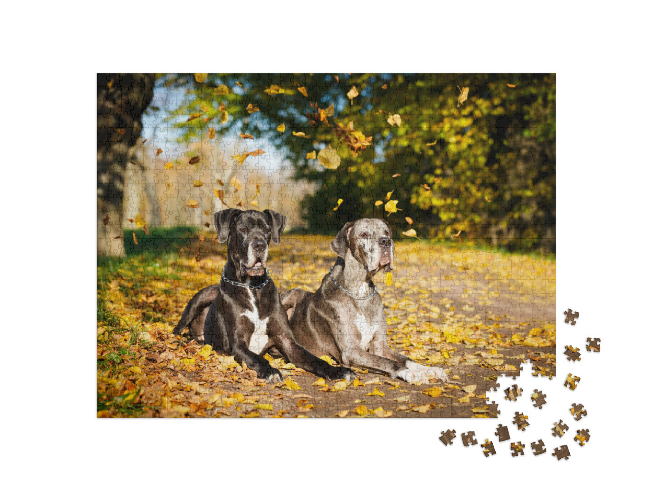 Puzzle 1000 Teile „Zwei Doggenhunde“