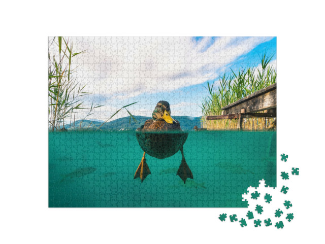 Puzzle 1000 Teile „Unterwasserbild einer Ente und mit einigen Fischen in einem See, Österreich“