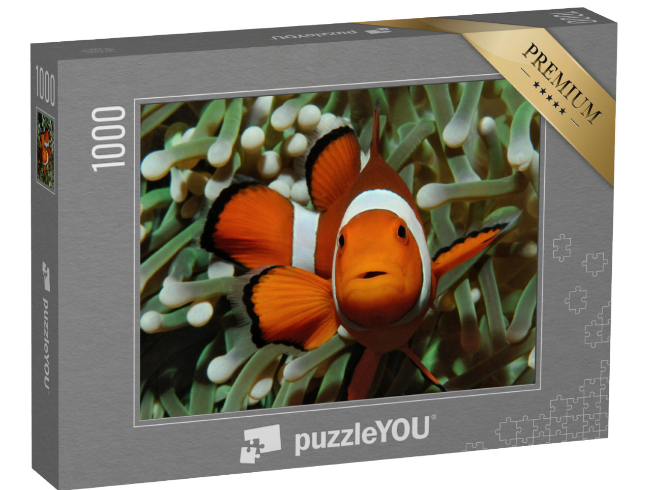 Puzzle 1000 Teile „Gut versteckt: Amphiprion, Westlicher Clownfisch mit Anemone“