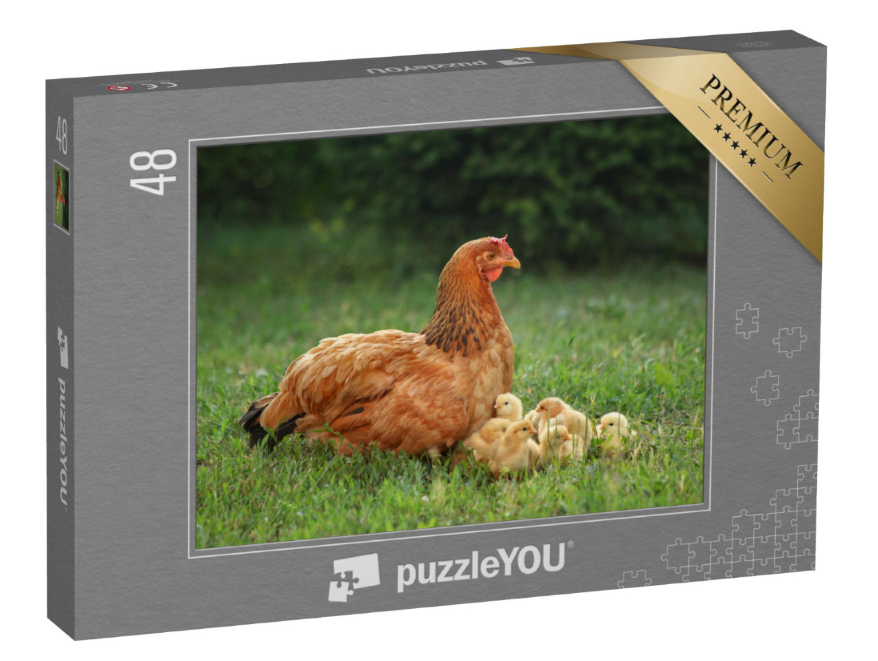 Puzzle 48 Teile „Glucke mit ihren Küken auf einer grünen Wiese“