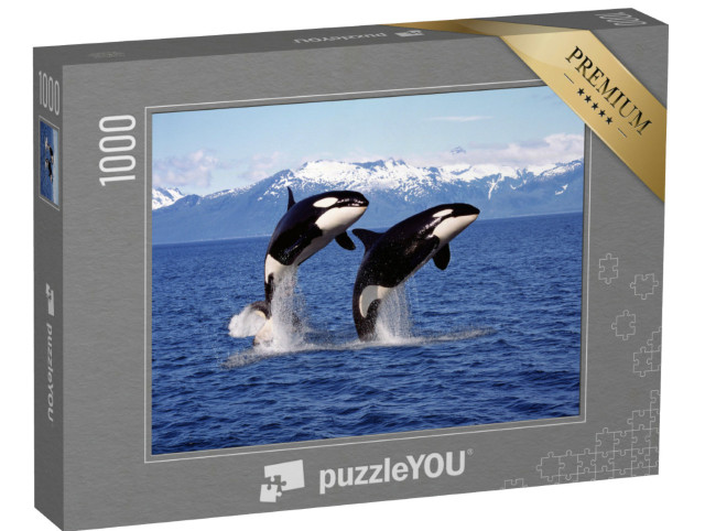 Puzzle 1000 Teile „Zwei Killerwale springen aus dem Wasser vor einer Berglandschaft“