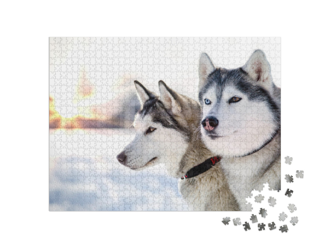 Puzzle 1000 Teile „Zwei Sibirische Huskys im winterlichen Sonnenuntergang“