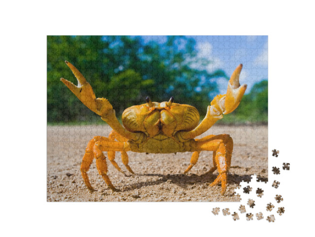 Puzzle 1000 Teile „Gelbe Landkrabbe auf Kuba“