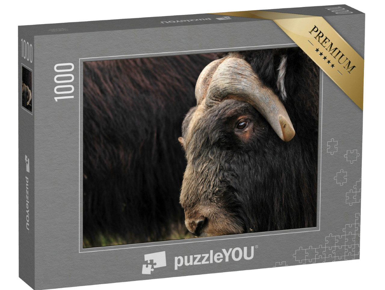 Puzzle 1000 Teile „Nahaufnahme eines Moschusochsen“