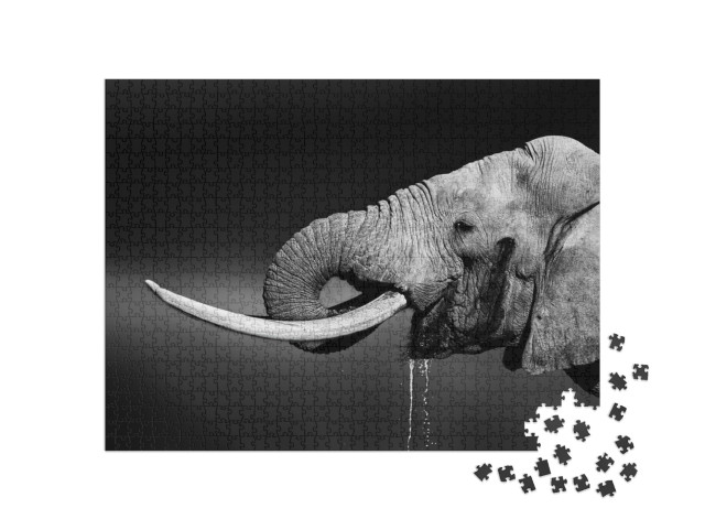 Puzzle 1000 Teile „Elefantenbulle beim Wassertrinken, schwarz-weiß“