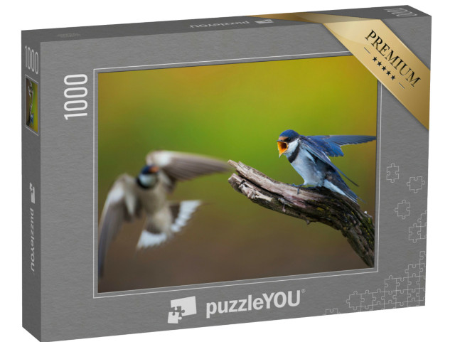 Puzzle 1000 Teile „Zwei Weißkehlschwalben in einem Wettstreit“