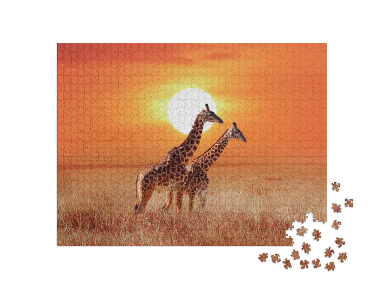 Puzzle 1000 Teile „Giraffen im glühenden Sonnenuntergang, Serengeti-Nationalpark“