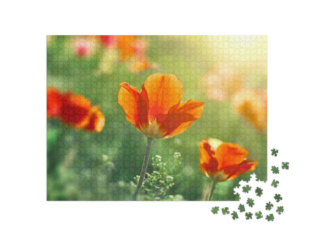 Puzzle 1000 Teile „Tulpen blühen vor dem Sonnenuntergang“