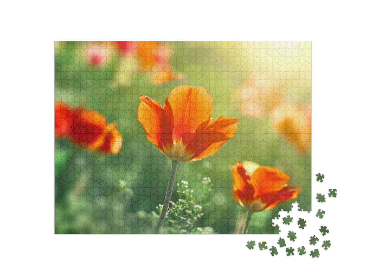 Puzzle 1000 Teile „Tulpen blühen vor dem Sonnenuntergang“