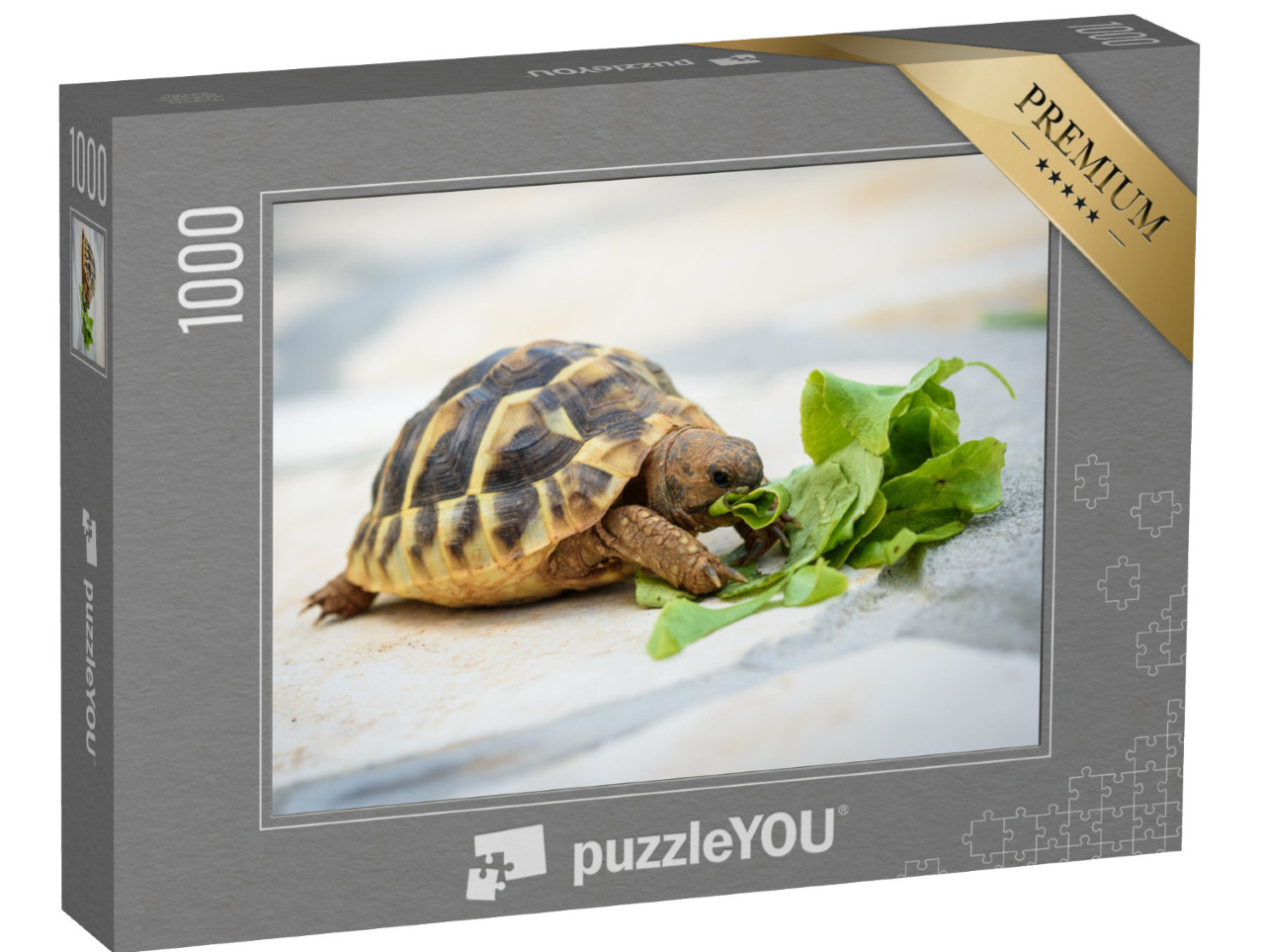 Puzzle 1000 Teile „Haustierschildkröte bei ihrer Salat-Mahlzeit“