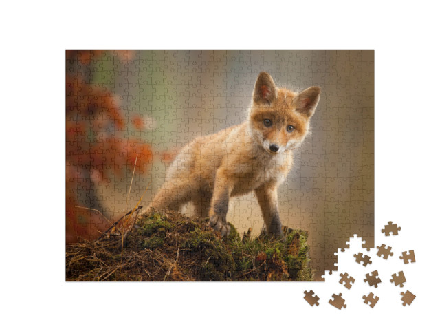 Puzzle 500 Teile „Ein junger Fuchs“