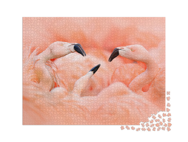 Puzzle 2000 Teile „Rosa Flamingos“