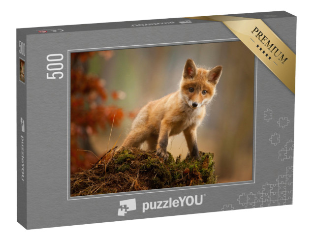 Puzzle 500 Teile „Ein junger Fuchs“