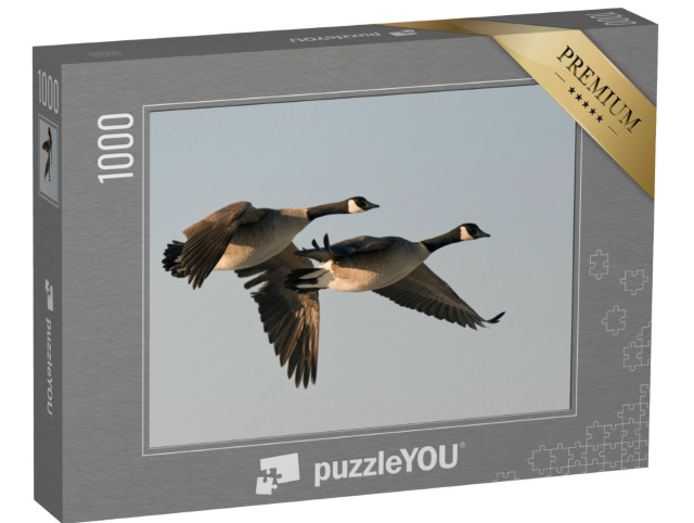Puzzle 1000 Teile „Fliegendes Gänsepaar“