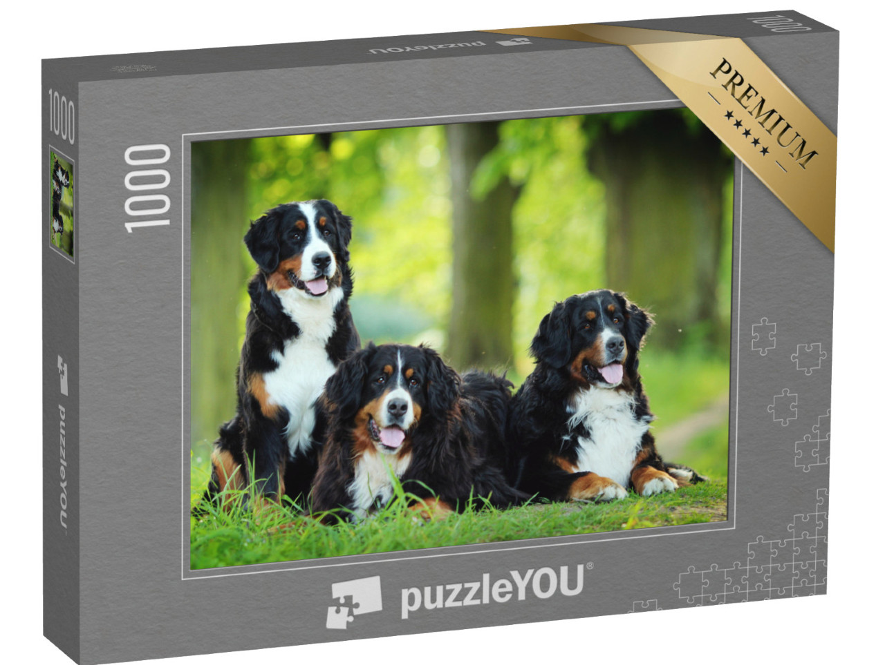 Puzzle 1000 Teile „Ein Berner Sennenhund“