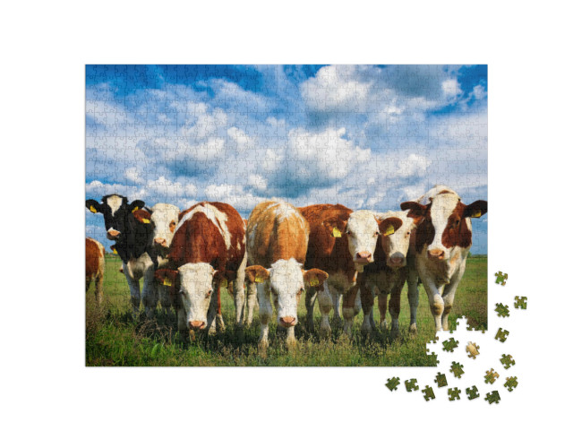 Puzzle 1000 Teile „Kühe auf einer grünen Sommerwiese“