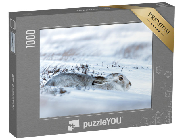 Puzzle 1000 Teile „Ein im Schnee liegender Schneehase“