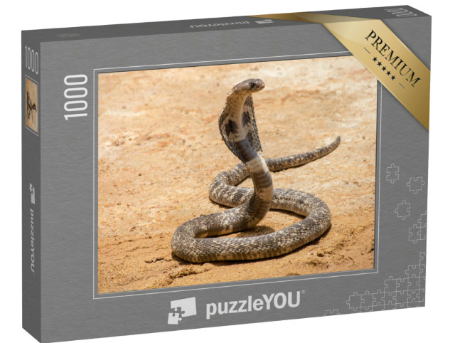 Puzzle 1000 Teile „Die Königskobra auf Sand“