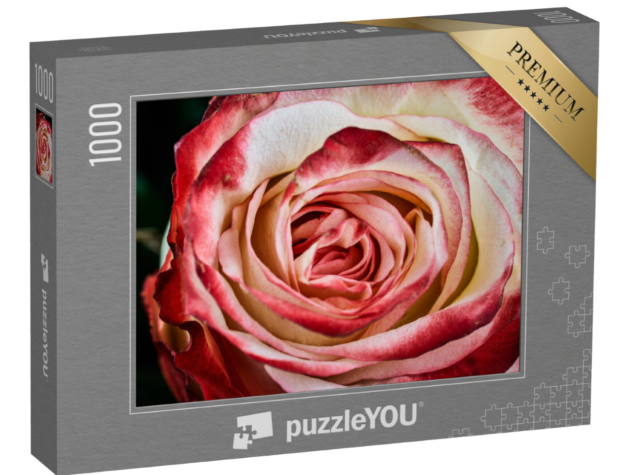 Puzzle 1000 Teile „Rote und weiße Rose auf schwarzem Hintergrund“
