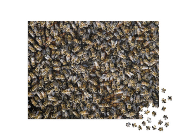 Puzzle 1000 Teile „Ein Schwarm Honigbienen“