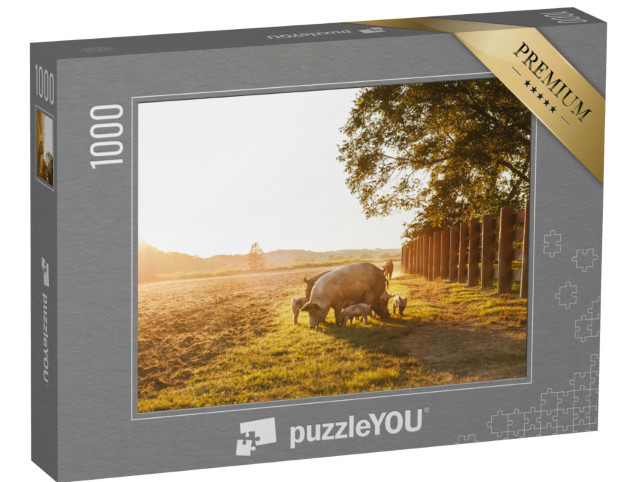 Puzzle 1000 Teile „Hausschwein mit kleinen Ferkelchen auf einer Wiese im Sonnenuntergang“