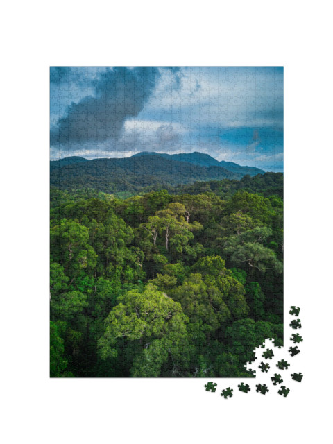 Puzzle 1000 Teile „Wunderschöner tropischer Regenwald mit grünen Hügeln“