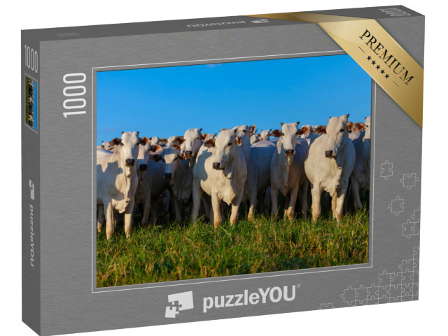 Puzzle 1000 Teile „Herde von Nellore-Rindern auf der Weide“