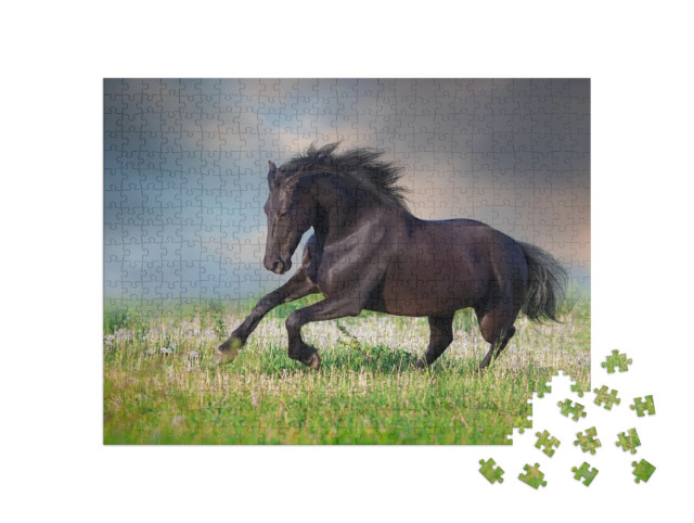 Puzzle 500 Teile „Friesenpferd im Galopp auf frühlingsgrüner Wiese“