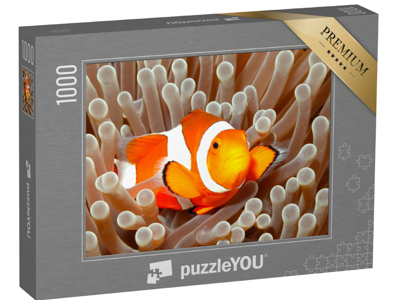 Puzzle 1000 Teile „Clown-Anemonenfisch, Bali, Indonesien“