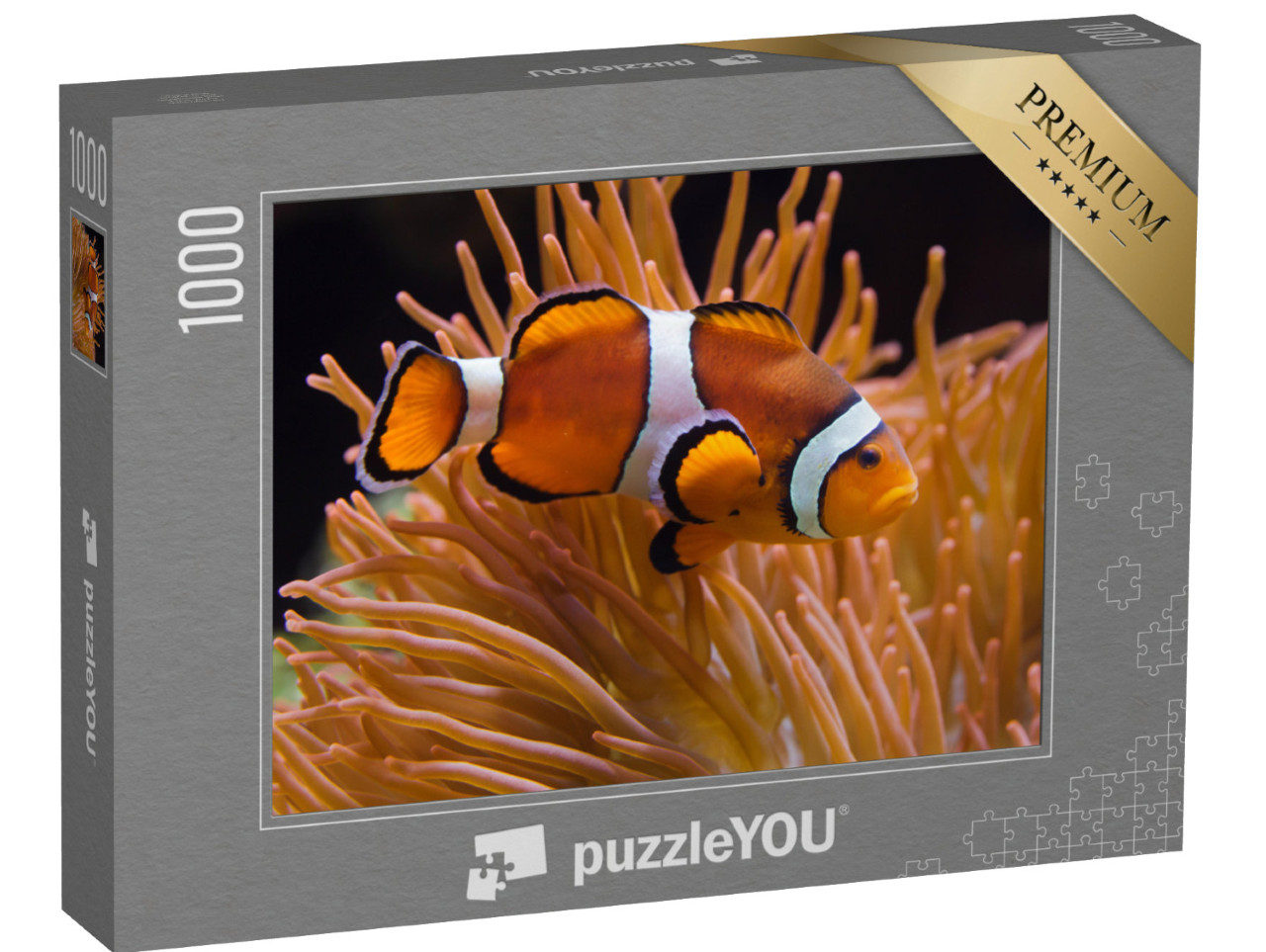 Puzzle 1000 Teile „Ocellaris-Anemonenfisch, Amphiprion ocellaris“