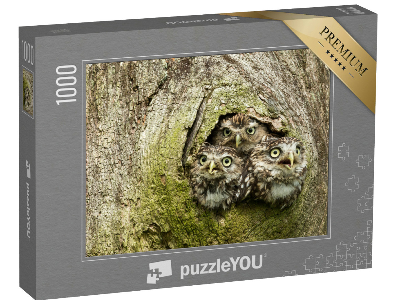 Puzzle 1000 Teile „Drei Steinkäuze in einer Baumhöhle“