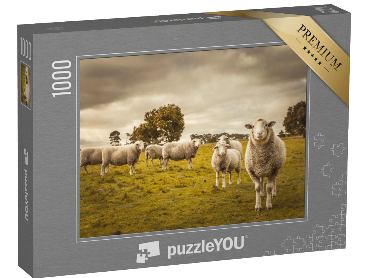 Puzzle 1000 Teile „Schafe auf ihrer Weide“