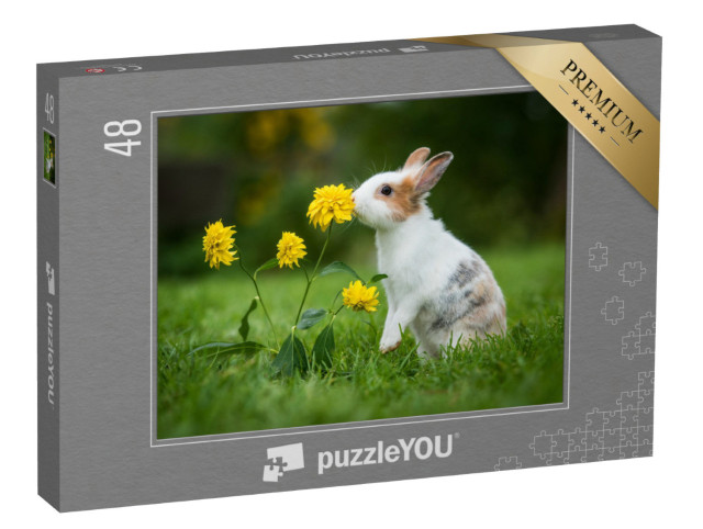 Puzzle 48 Teile „Kleines neugieriges Kaninchen“